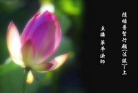 随顺普贤行愿（法谈）